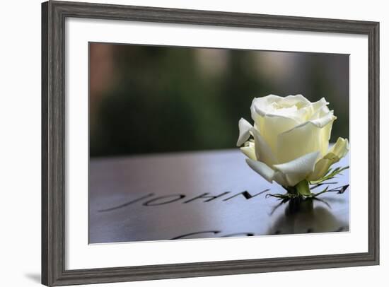 White Rose at September 11 Memorial-null-Framed Photo