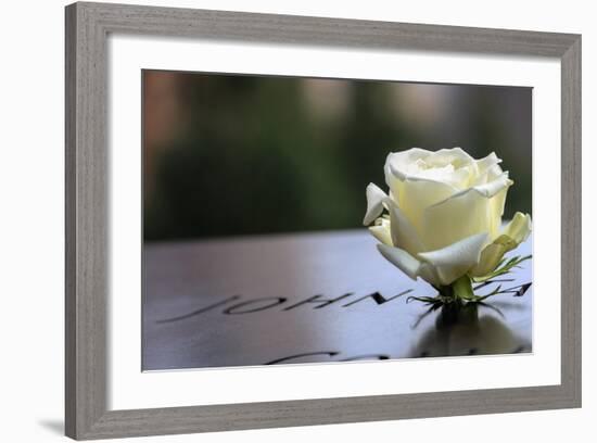 White Rose at September 11 Memorial-null-Framed Photo