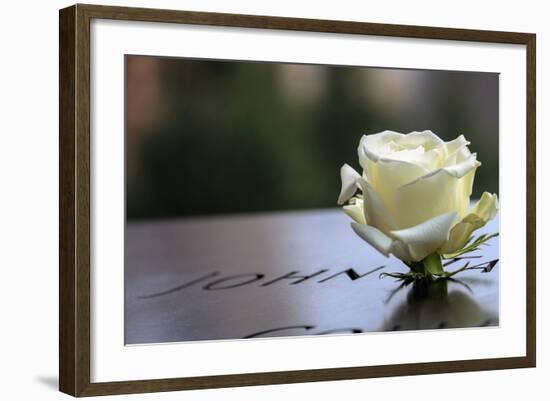 White Rose at September 11 Memorial-null-Framed Photo