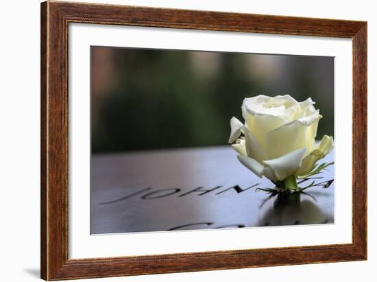 White Rose at September 11 Memorial-null-Framed Photo