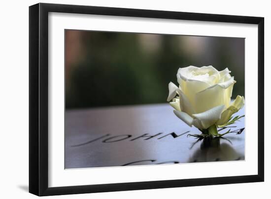 White Rose at September 11 Memorial-null-Framed Photo