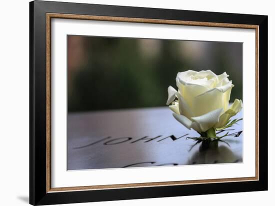 White Rose at September 11 Memorial-null-Framed Photo