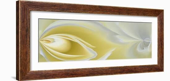 White Rose Close-Up-Adam Jones-Framed Photographic Print