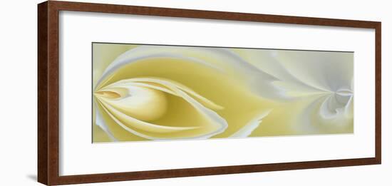 White Rose Close-Up-Adam Jones-Framed Photographic Print