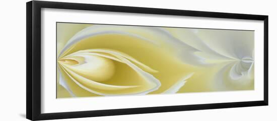 White Rose Close-Up-Adam Jones-Framed Photographic Print