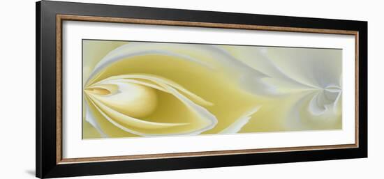 White Rose Close-Up-Adam Jones-Framed Photographic Print