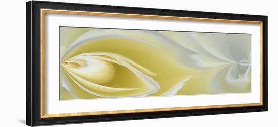 White Rose Close-Up-Adam Jones-Framed Photographic Print