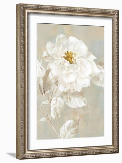 White Rose I-Eva Watts-Framed Art Print