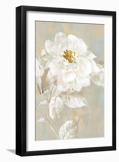 White Rose I-Eva Watts-Framed Art Print