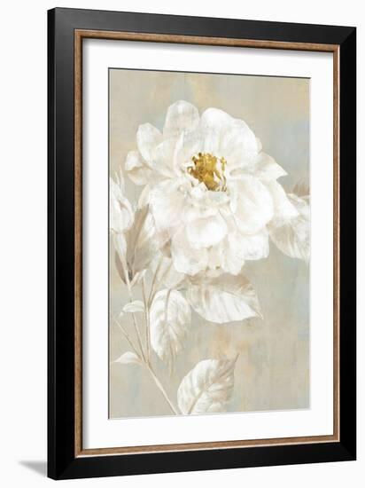 White Rose I-Eva Watts-Framed Art Print