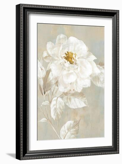 White Rose I-Eva Watts-Framed Art Print
