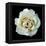 White Rose II-Jim Christensen-Framed Premier Image Canvas