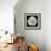 White Rose II-Jim Christensen-Framed Premium Photographic Print displayed on a wall