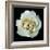 White Rose II-Jim Christensen-Framed Photographic Print