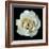 White Rose II-Jim Christensen-Framed Photographic Print