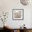 White Rose II-Monika Burkhart-Framed Photographic Print displayed on a wall