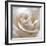 White Rose II-Monika Burkhart-Framed Photographic Print