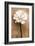 White Rose in Sepia-Christine Zalewski-Framed Art Print