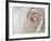 White Rose Swirl-Karen Ussery-Framed Premium Giclee Print