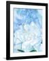 White Rose W/ Lakspur No.2-Georgia O'Keeffe-Framed Art Print