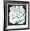 White Rose-Lowell Blair Nesbitt-Framed Limited Edition