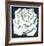 White Rose-Lowell Blair Nesbitt-Framed Limited Edition