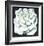 White Rose-Lowell Blair Nesbitt-Framed Limited Edition