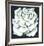 White Rose-Lowell Blair Nesbitt-Framed Limited Edition