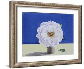 White Rose-Christopher Ryland-Framed Giclee Print