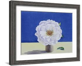 White Rose-Christopher Ryland-Framed Giclee Print