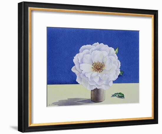 White Rose-Christopher Ryland-Framed Giclee Print