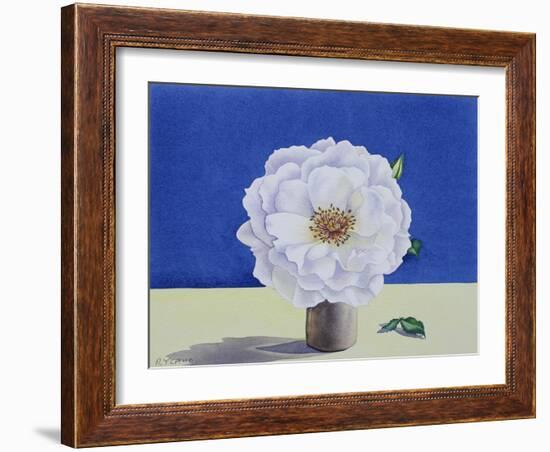 White Rose-Christopher Ryland-Framed Giclee Print