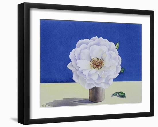 White Rose-Christopher Ryland-Framed Giclee Print