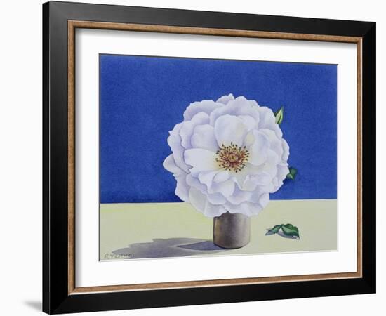 White Rose-Christopher Ryland-Framed Giclee Print