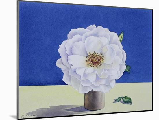 White Rose-Christopher Ryland-Mounted Giclee Print