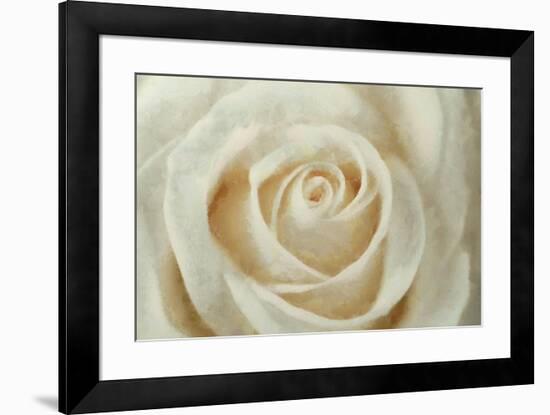 White Rose-Cora Niele-Framed Giclee Print