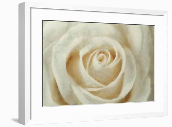 White Rose-Cora Niele-Framed Giclee Print