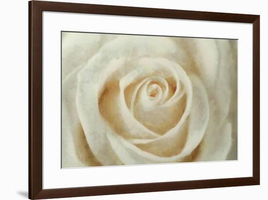 White Rose-Cora Niele-Framed Giclee Print