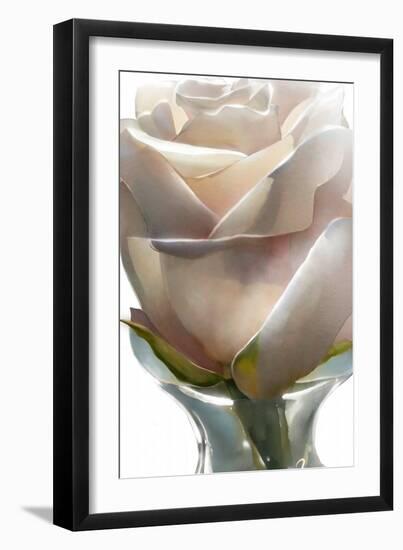 White Rose-Ruth Day-Framed Giclee Print