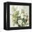 White Roses-Asia Jensen-Framed Stretched Canvas