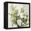 White Roses-Asia Jensen-Framed Stretched Canvas