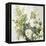 White Roses-Asia Jensen-Framed Stretched Canvas