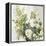 White Roses-Asia Jensen-Framed Stretched Canvas