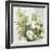 White Roses-Asia Jensen-Framed Art Print