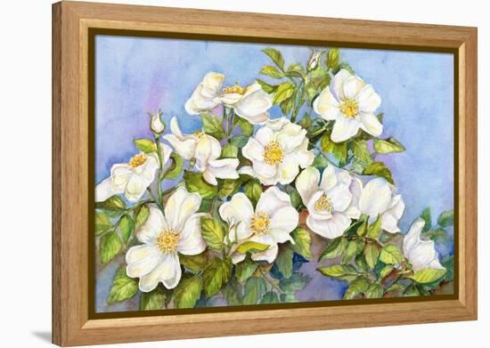White Roses-Joanne Porter-Framed Premier Image Canvas