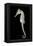 White's Sea Horse-null-Framed Premier Image Canvas