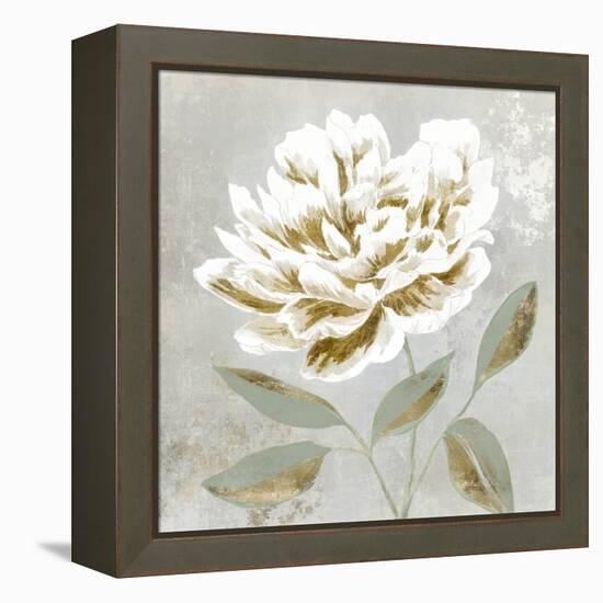 White Sage I-Aria K-Framed Stretched Canvas