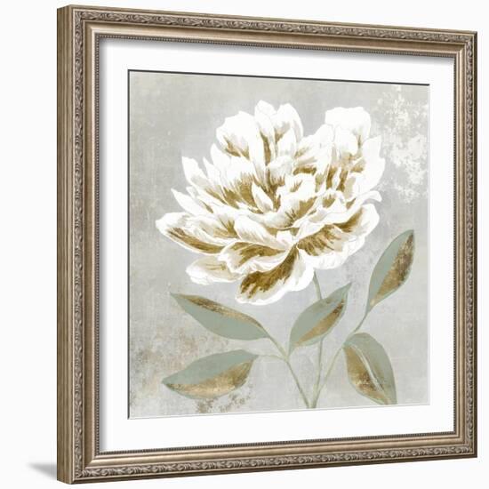 White Sage I-Aria K-Framed Premium Giclee Print