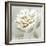 White Sage I-Aria K-Framed Premium Giclee Print