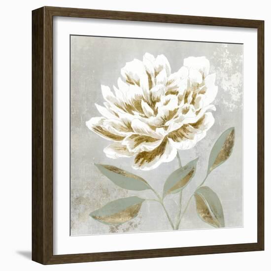 White Sage I-Aria K-Framed Premium Giclee Print